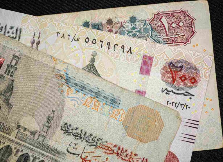 Egypt Bank Code Checker