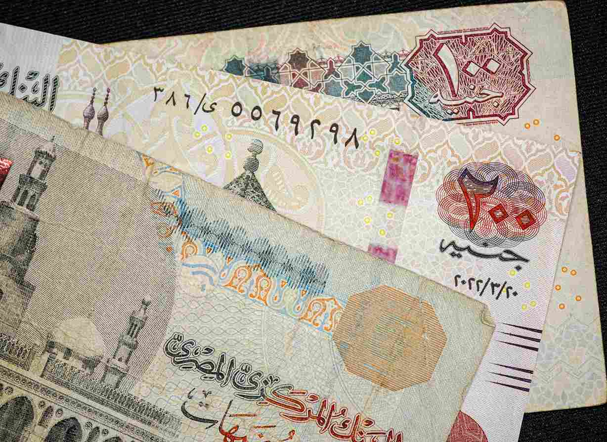Egypt Bank Code Checker